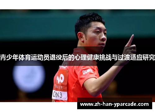 青少年体育运动员退役后的心理健康挑战与过渡适应研究 青少年体育运动员退役后的心理健康挑战与过渡适应研究