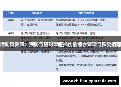 运动员健康：预防与应对肾脏损伤的综合管理与恢复指南
