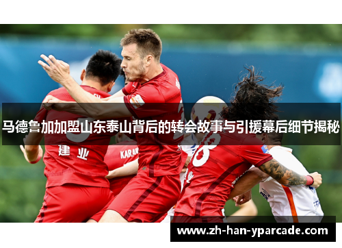 马德鲁加加盟山东泰山背后的转会故事与引援幕后细节揭秘